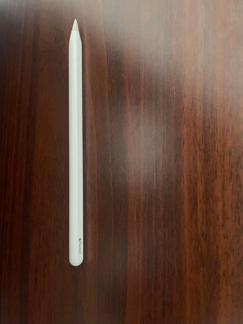 美品 ApplePencil付iPadpro 12.9 第3世代 256G特典有