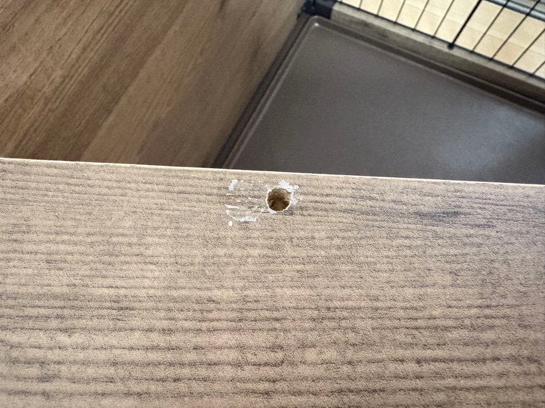 犬用ゲージ　小型犬用 ロック付き扉　DCMウッディーサークル