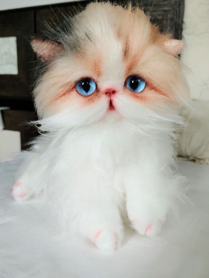 ハート模様❤子猫のドロップちゃん❤エキゾチック♡アートドール♡ぬいぐるみ♡