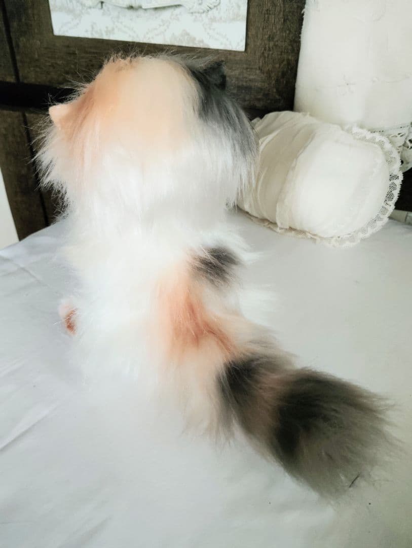 ハート模様❤子猫のドロップちゃん❤エキゾチック♡アートドール♡ぬいぐるみ♡