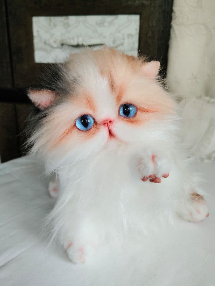 ハート模様❤子猫のドロップちゃん❤エキゾチック♡アートドール♡ぬいぐるみ♡