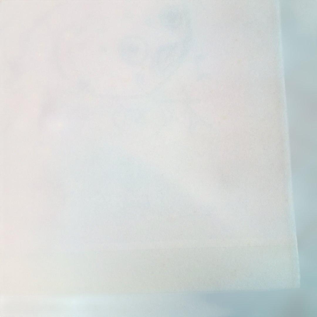 【希少作】 「金魚ネプタの柵」裏彩色　 棟方志功