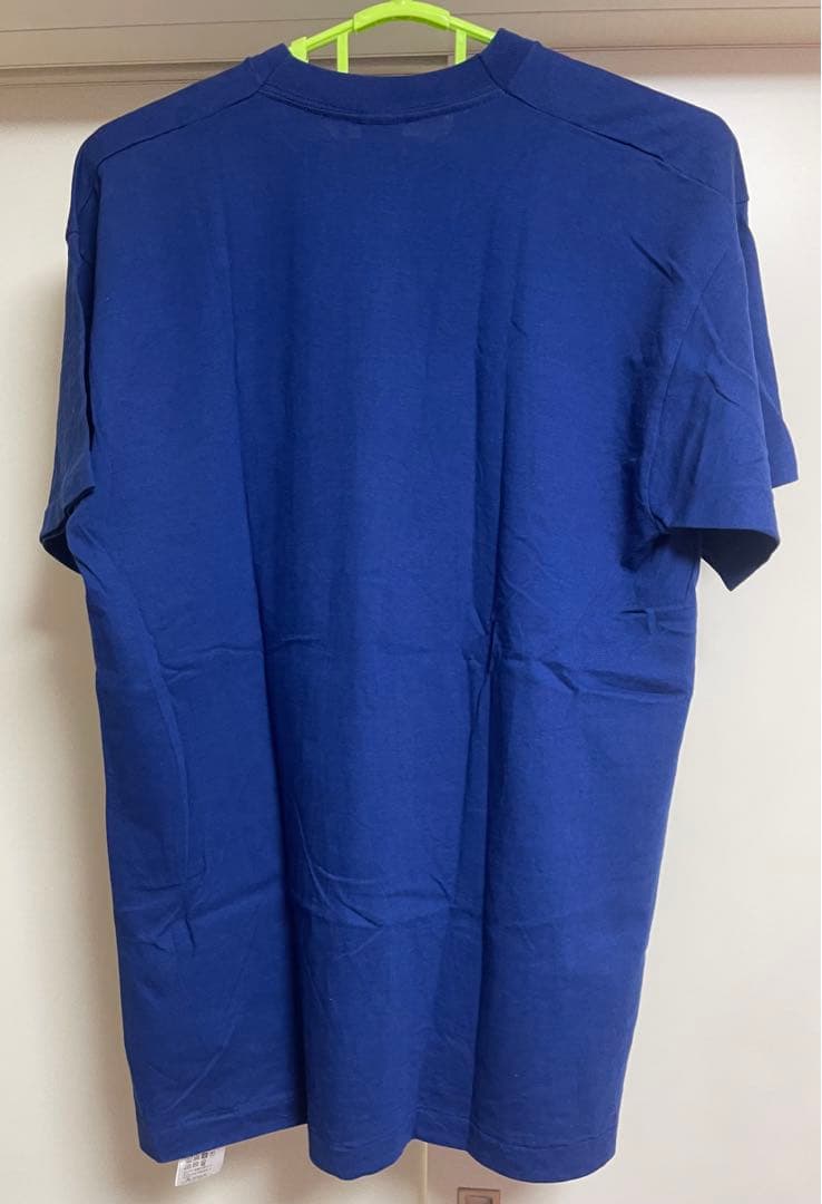 トップス INDIANS FRUIT OF THE LOOM KITH vintage