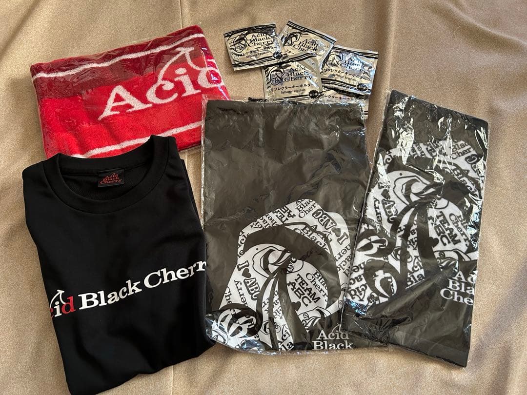 Acid Black Cherry グッズまとめ売り④