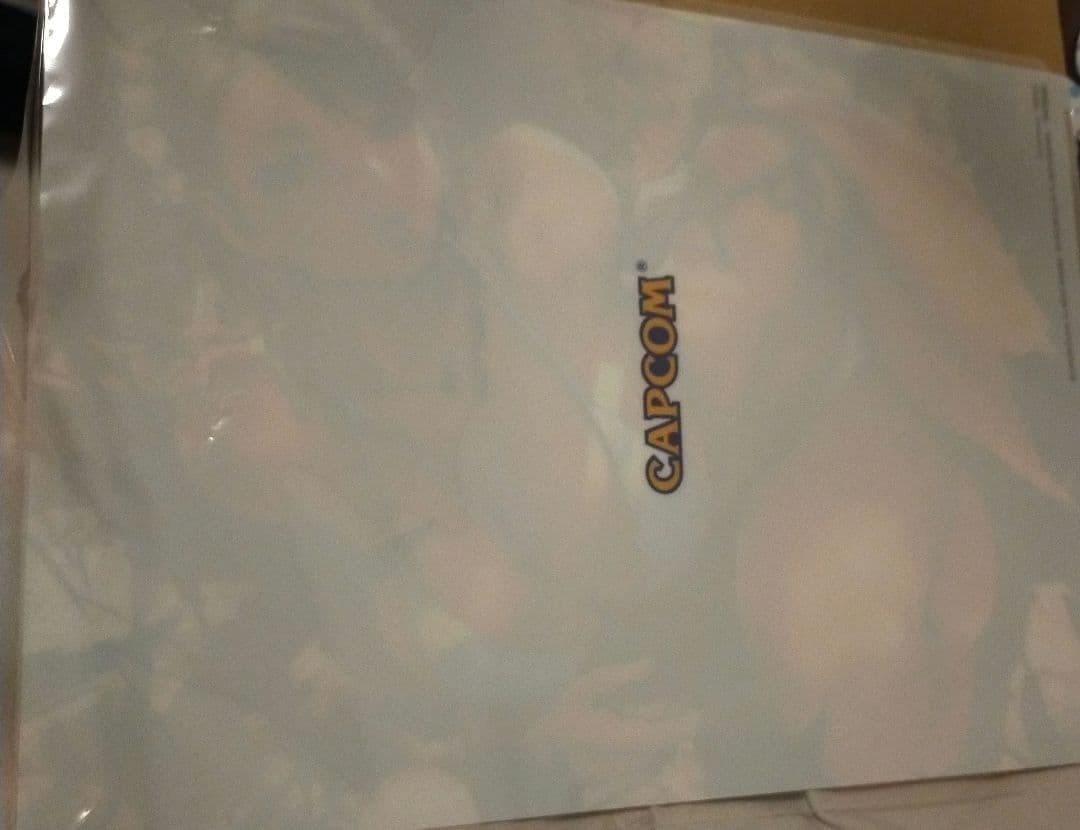 春麗　春のイーカプコン限定　クリアファイル