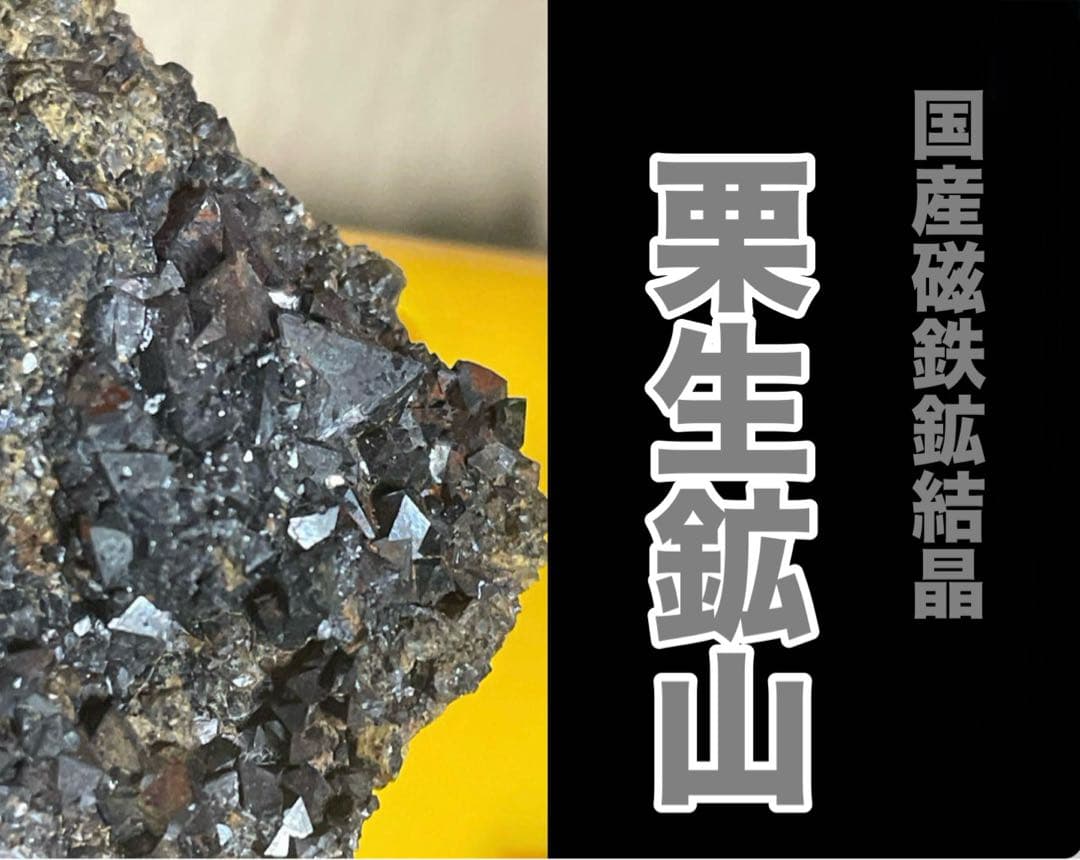 磁鉄鉱結晶 栗生鉱山 長野県 国産鉱物