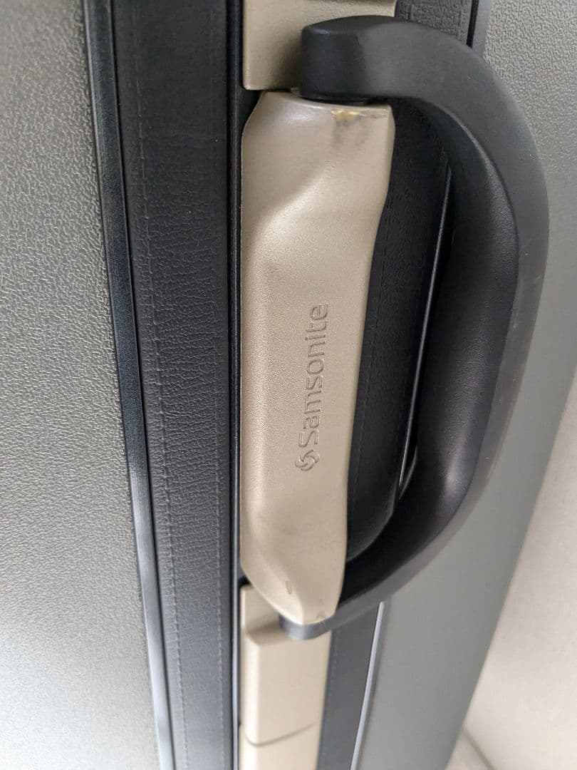 Samsonite キャリーケース スーツケース ピギーバッグ 大容量 110L