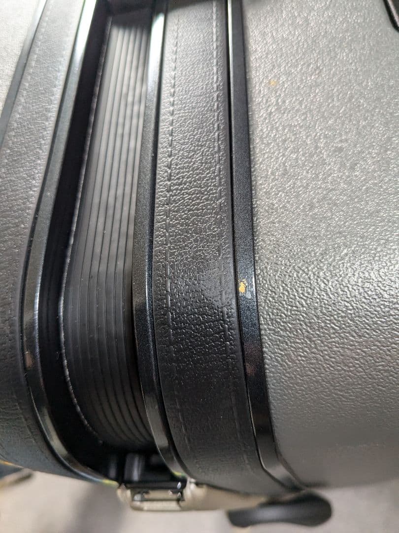 Samsonite キャリーケース スーツケース ピギーバッグ 大容量 110L