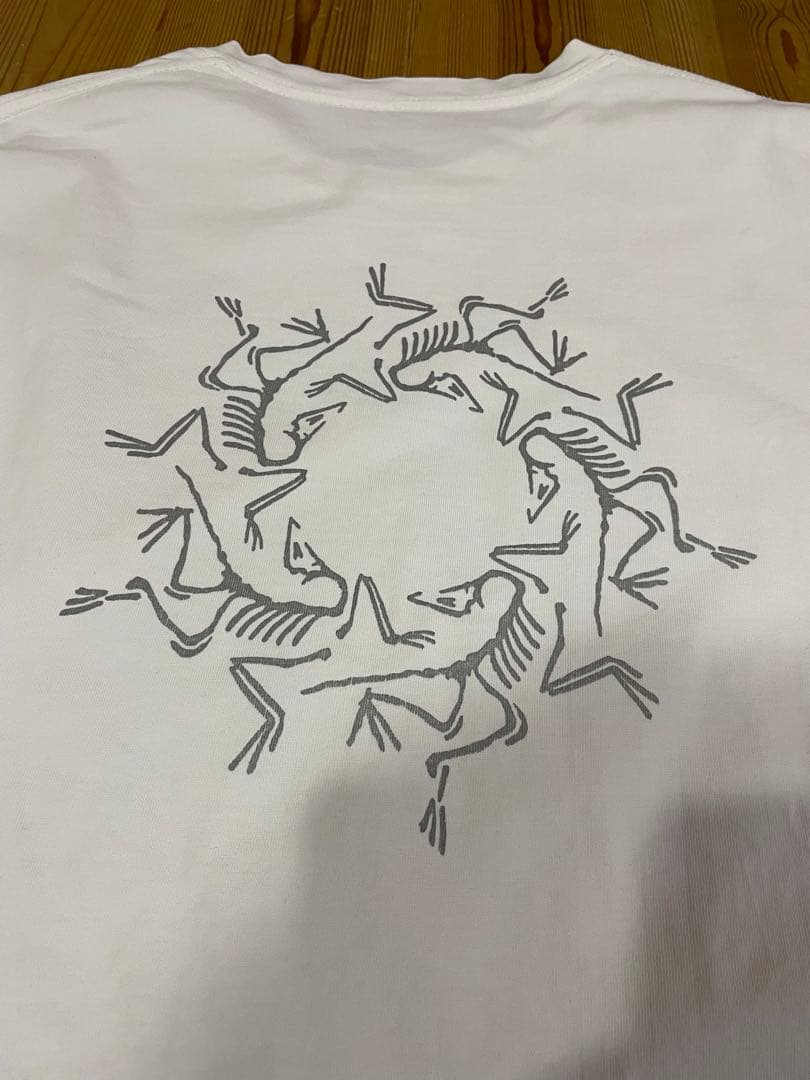 Arc’teryx system_A solarium ss T ホワイト