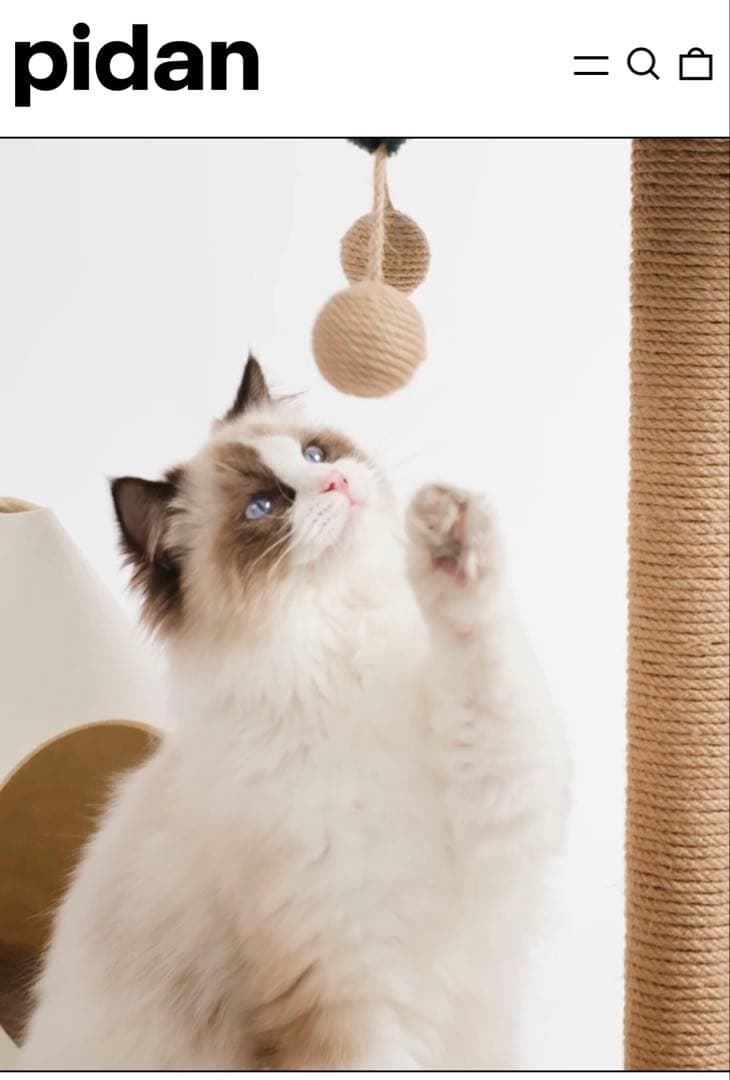 pidan 猫島 キャットタワー