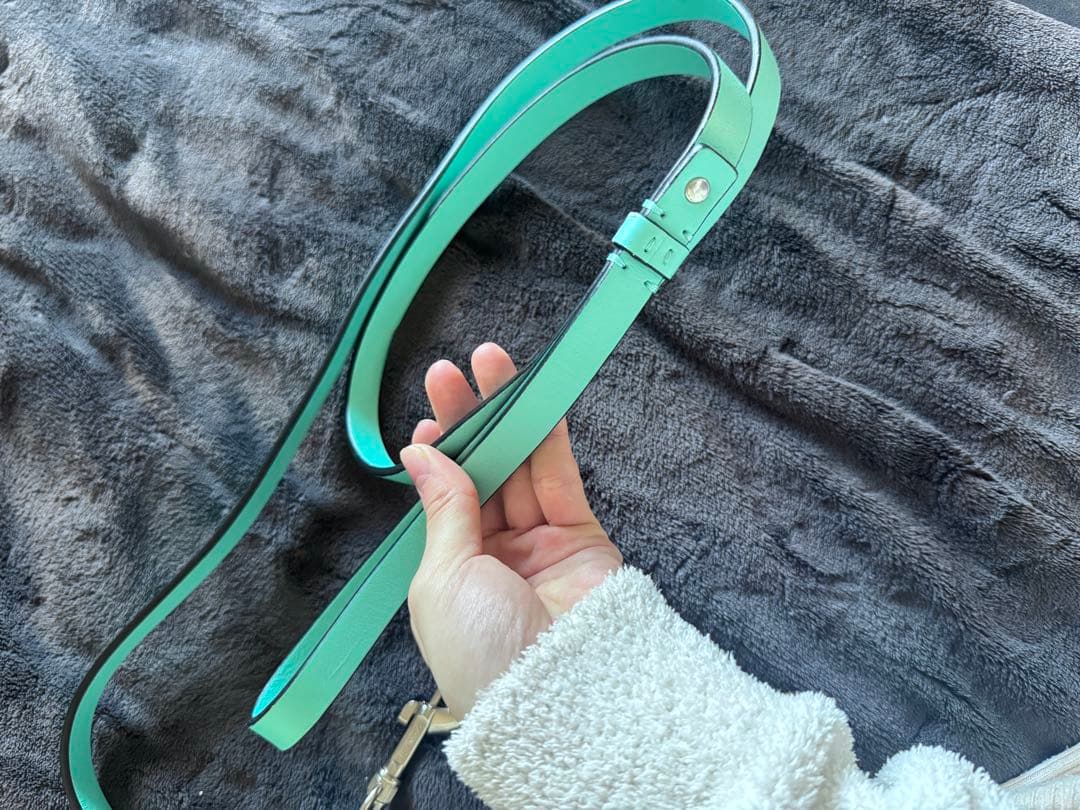 Tiffany & Co. ティファニー 首輪 カラー リード　セット　犬　XS