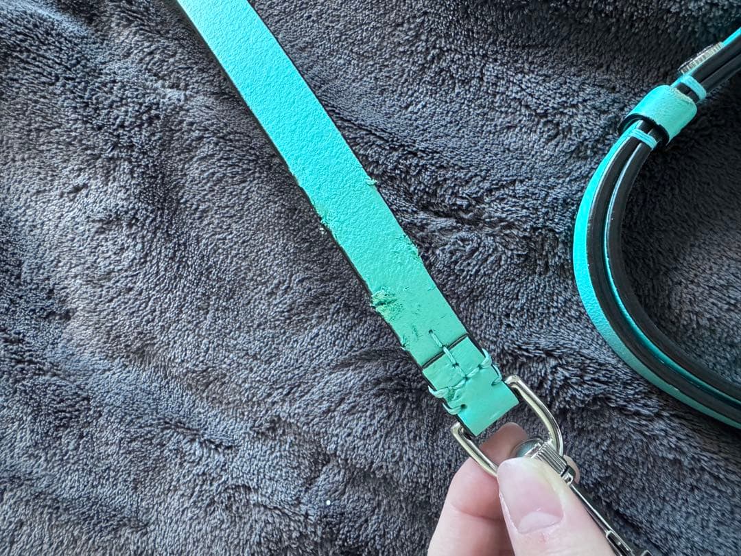 Tiffany & Co. ティファニー 首輪 カラー リード　セット　犬　XS