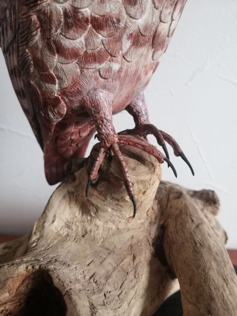 木製 アナホリフクロウ 梟 野鳥彫刻 バードカービング 木彫 野鳥