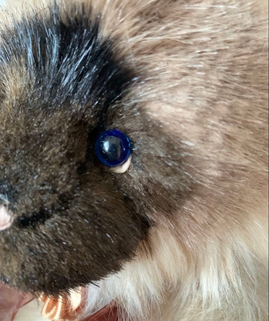 チャーリーベアーズ　テディベア　ネコ　シャムネコ