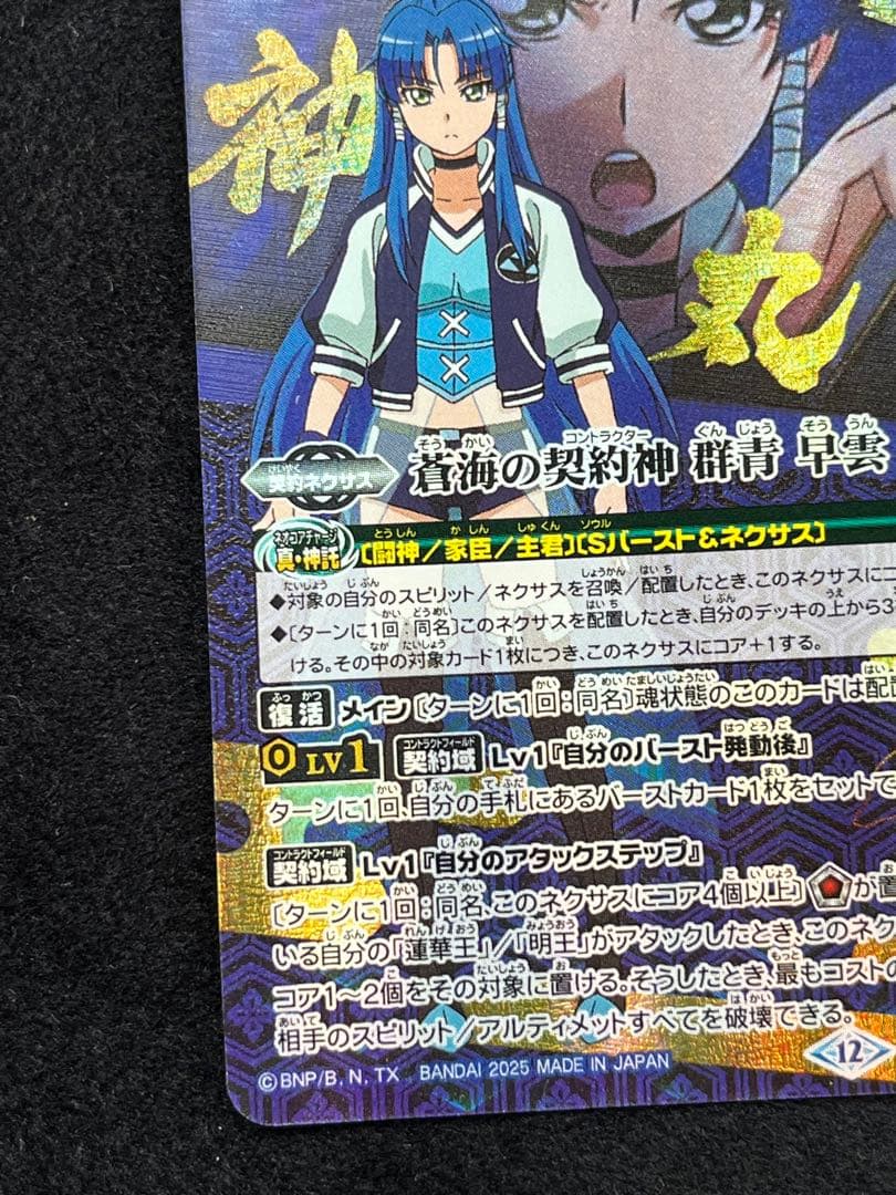 蒼海の契約神　群青 早雲　シークレット