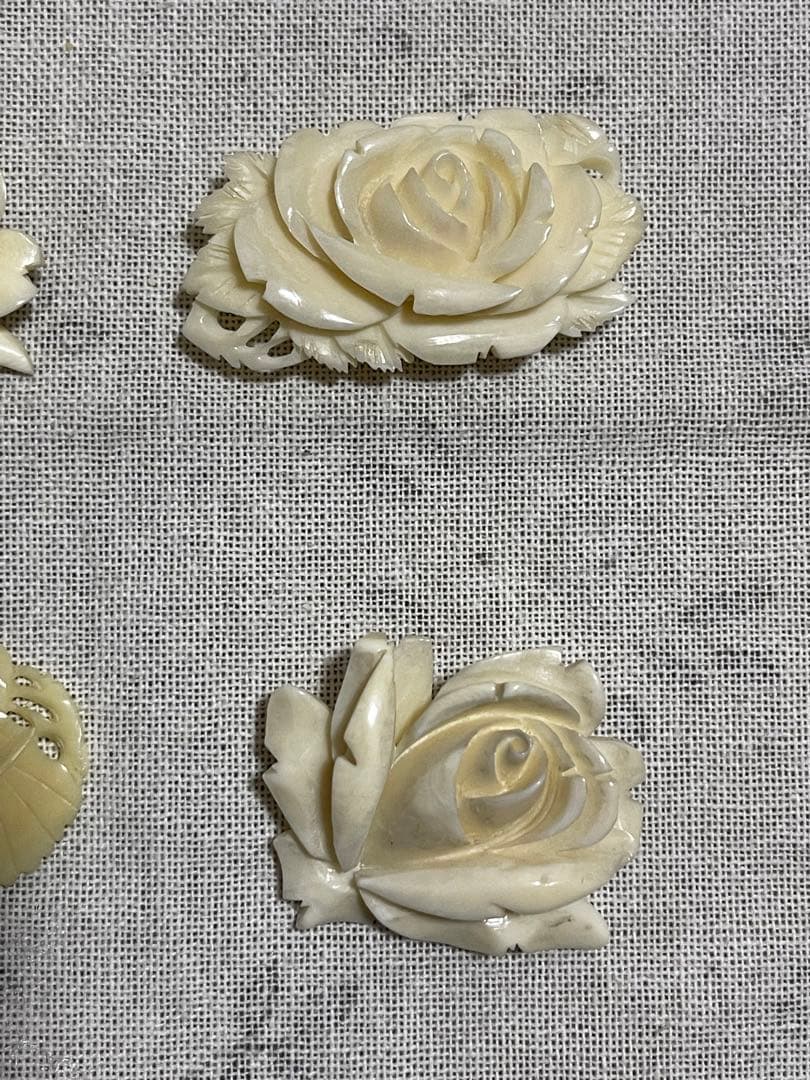 鯨の歯 クジラ 5点まとめ売り