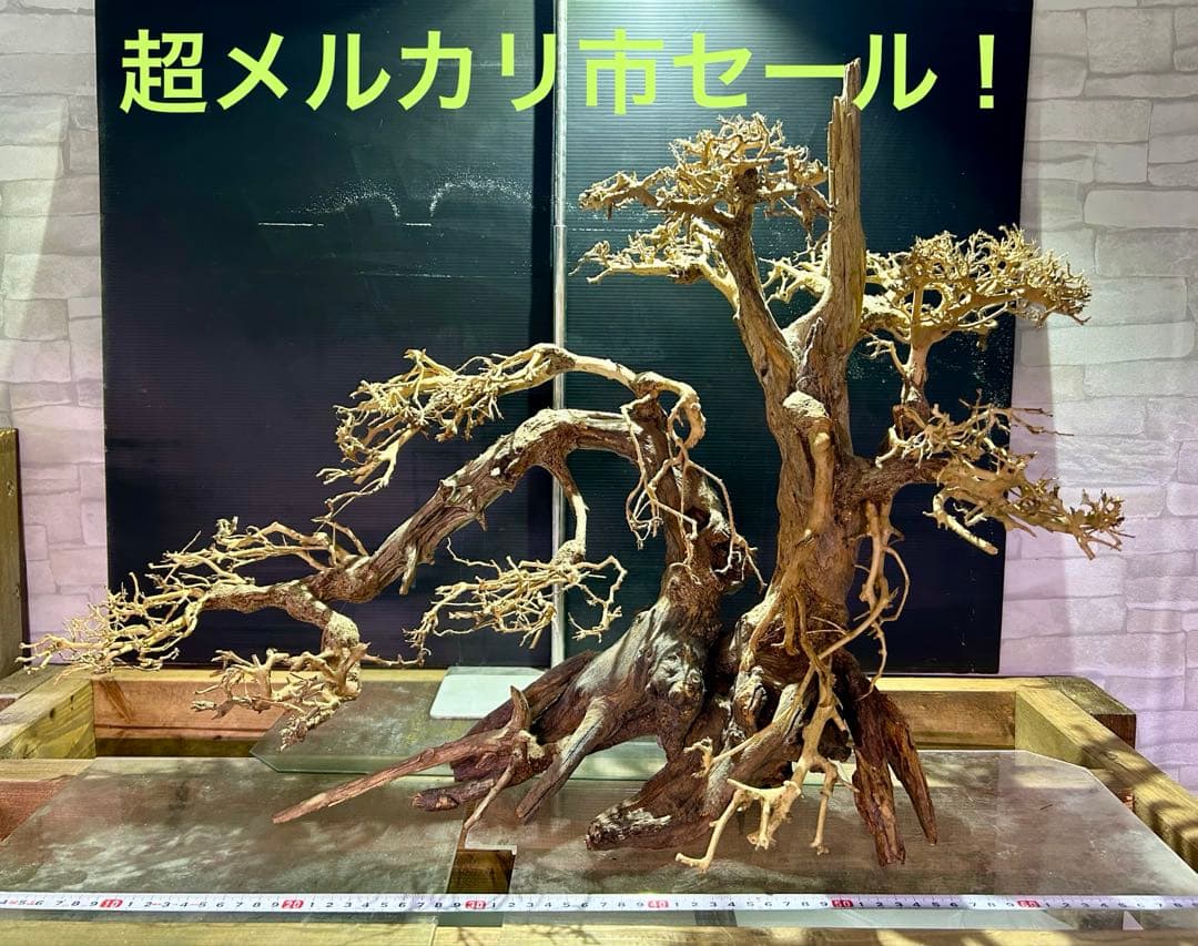 一点限り！超メルカリ市セール！盆栽流木XXLサイズ！