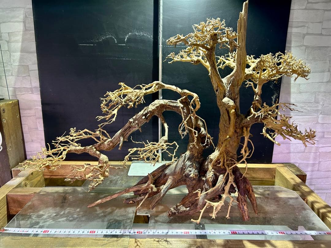 一点限り！超メルカリ市セール！盆栽流木XXLサイズ！