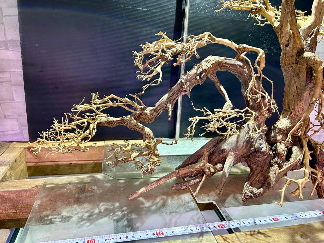 一点限り！超メルカリ市セール！盆栽流木XXLサイズ！