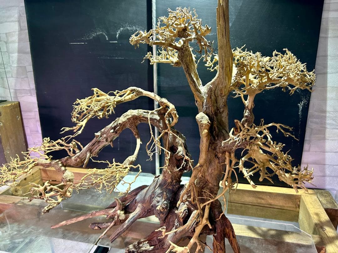 一点限り！超メルカリ市セール！盆栽流木XXLサイズ！