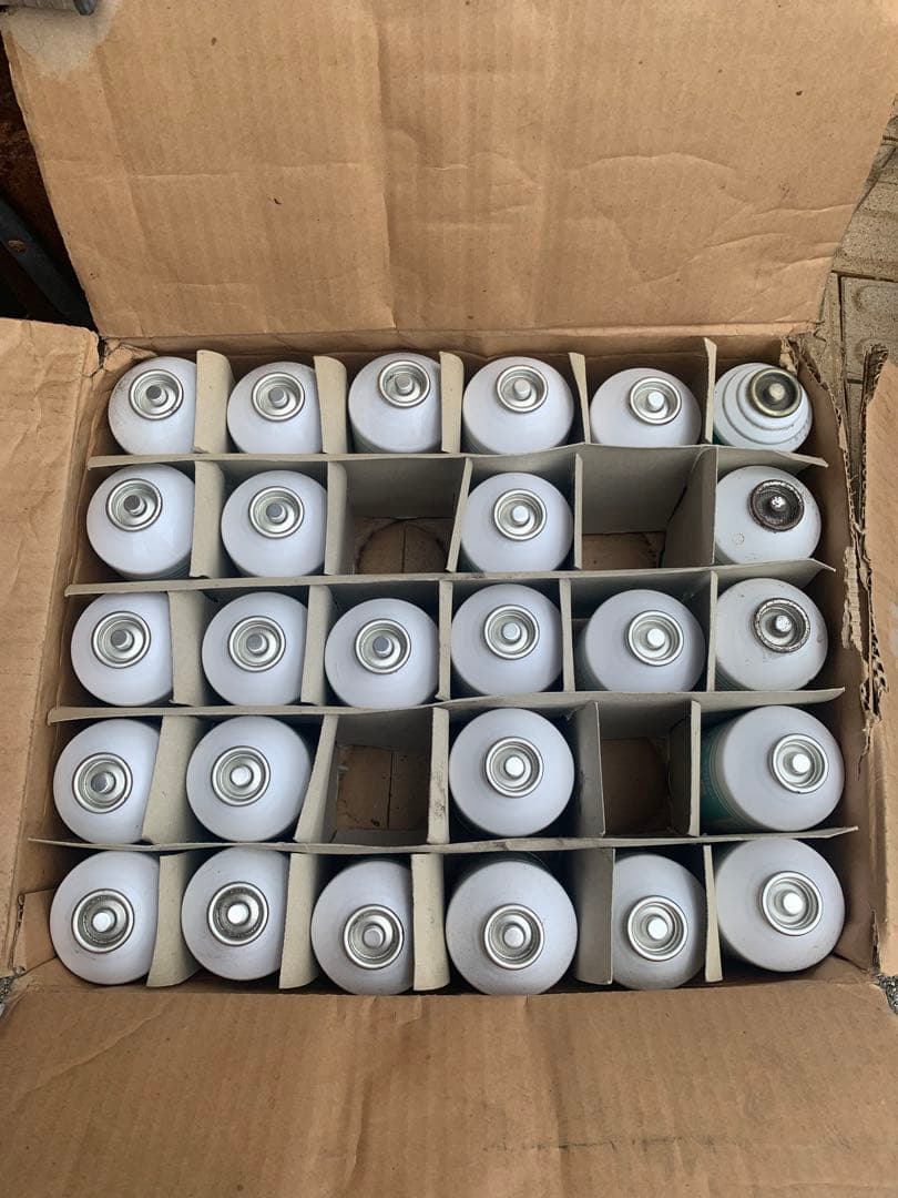 横ちゃん専用　フレオン12