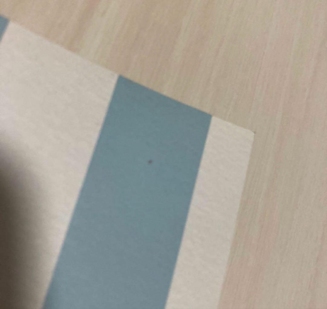 黒執事 Book of the Atlantic シュタイフ シエル　テディベア