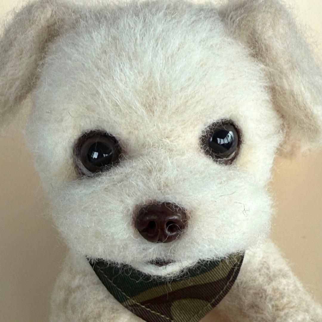 HFオーダーページ