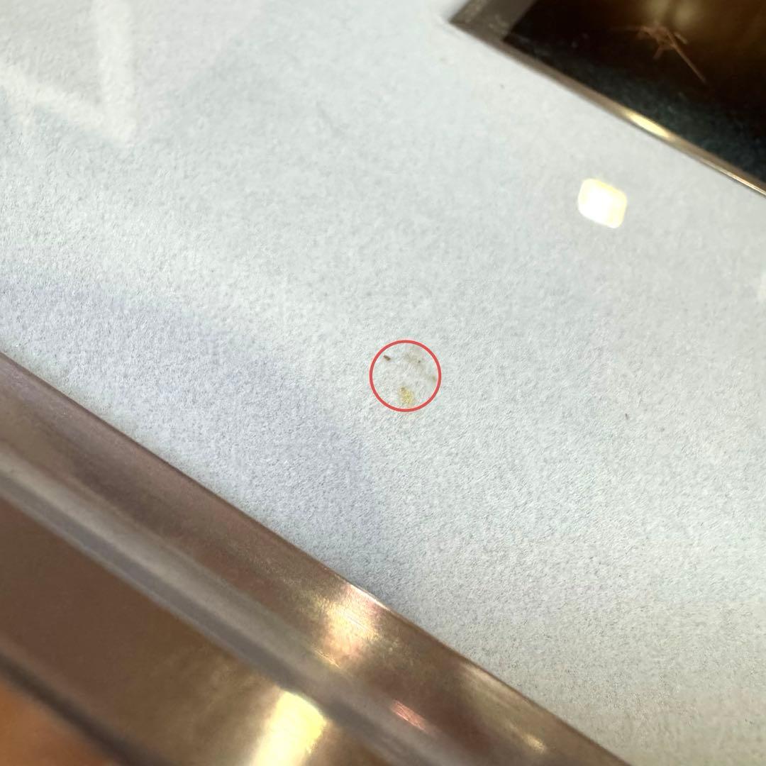 輪島塗 友田裕次 沈金 沈銀 あやめ 額装作品 絵画 額縁 共箱 説明書 漆