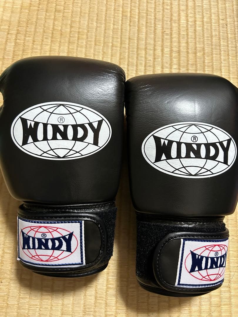 【ササヤン】WINDY ボクシンググローブ
