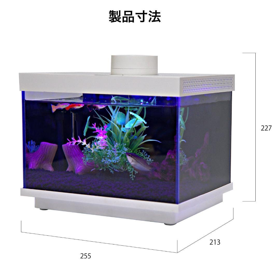 【オールインワン】FiSH-α2 6.9L ガラス水槽　スマホ連携
