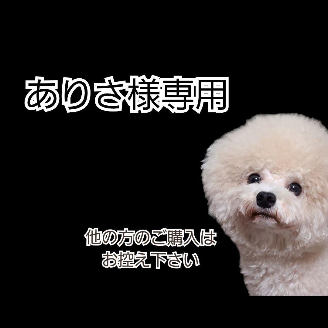 【ありさ】K９ナチュラル