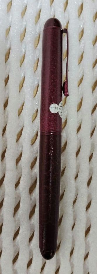 万年筆　プラチナ　中 細字