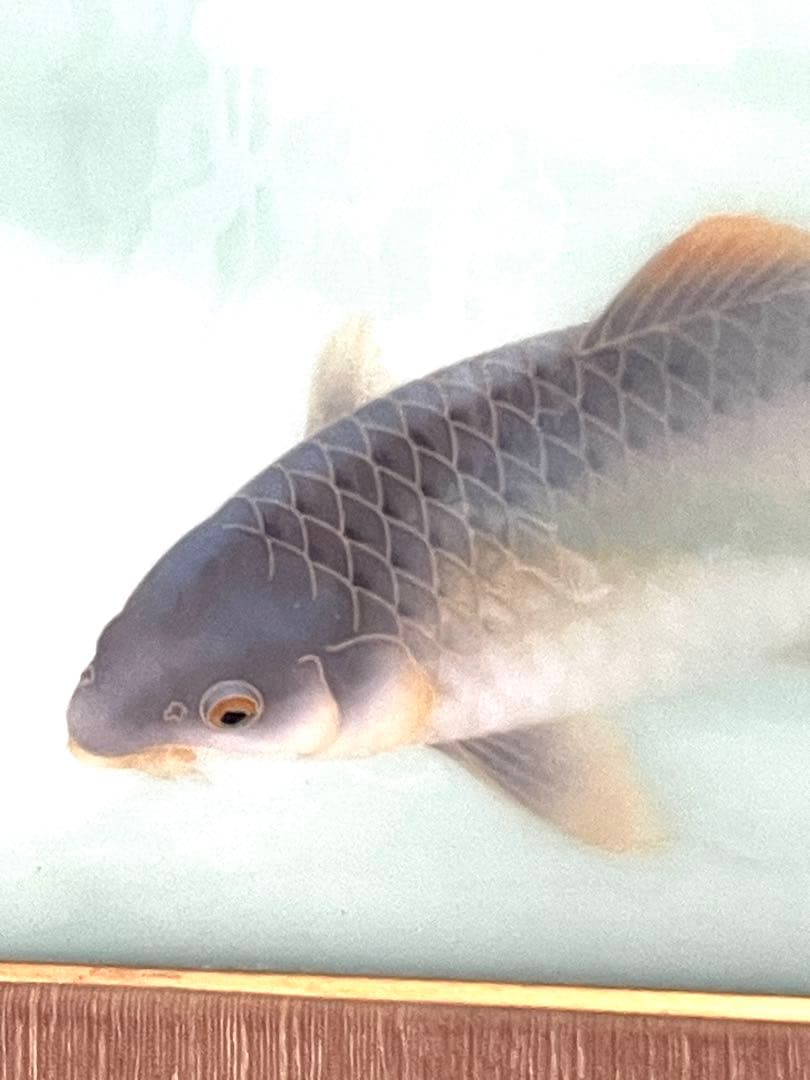 【価格交渉大歓迎】安藤造 七宝 双鯉図 陶額 共箱