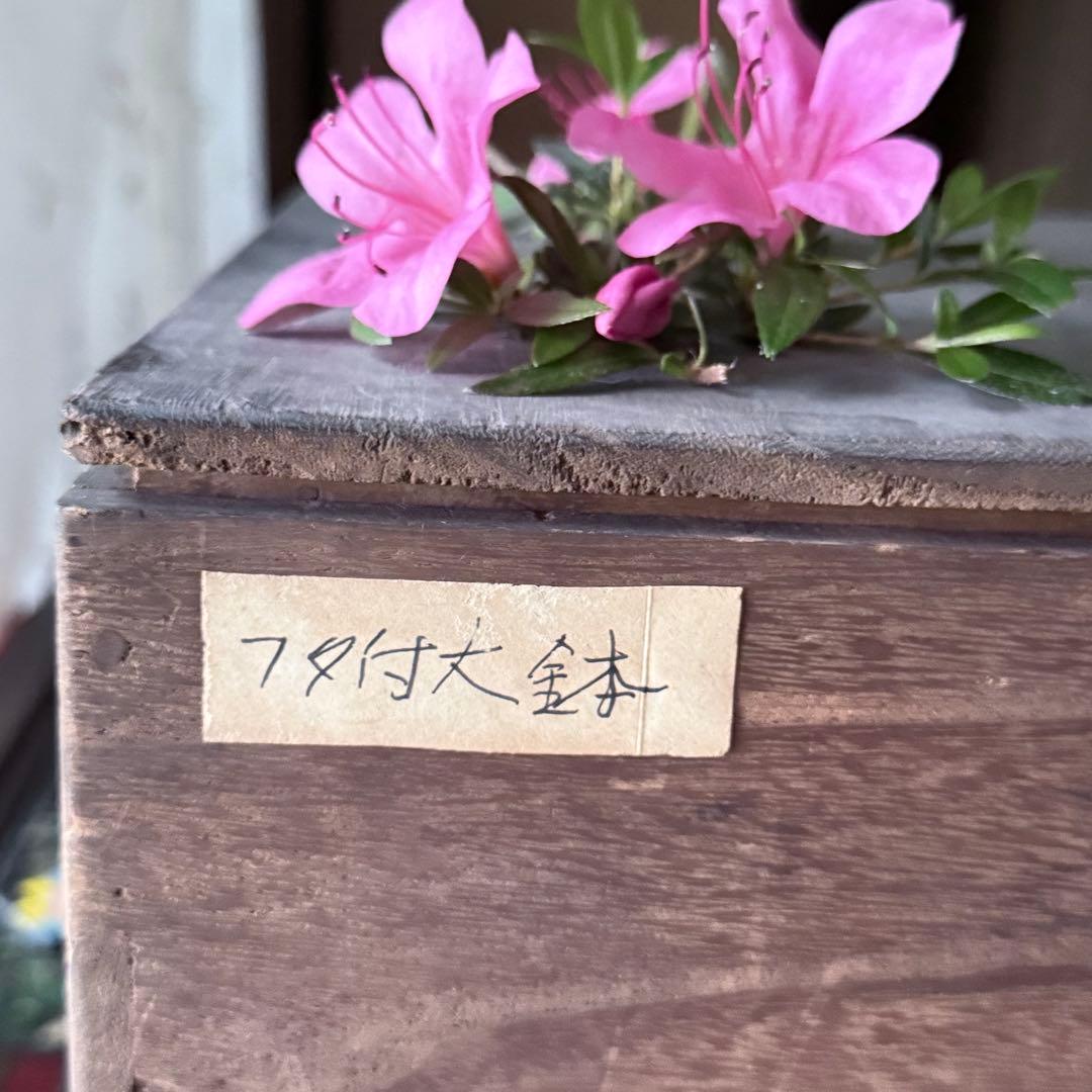 2200様感謝‼️これさえあれば‼️愛蔵品　倣古伊万里錦手蓋付大鉢　食籠1客時代木箱