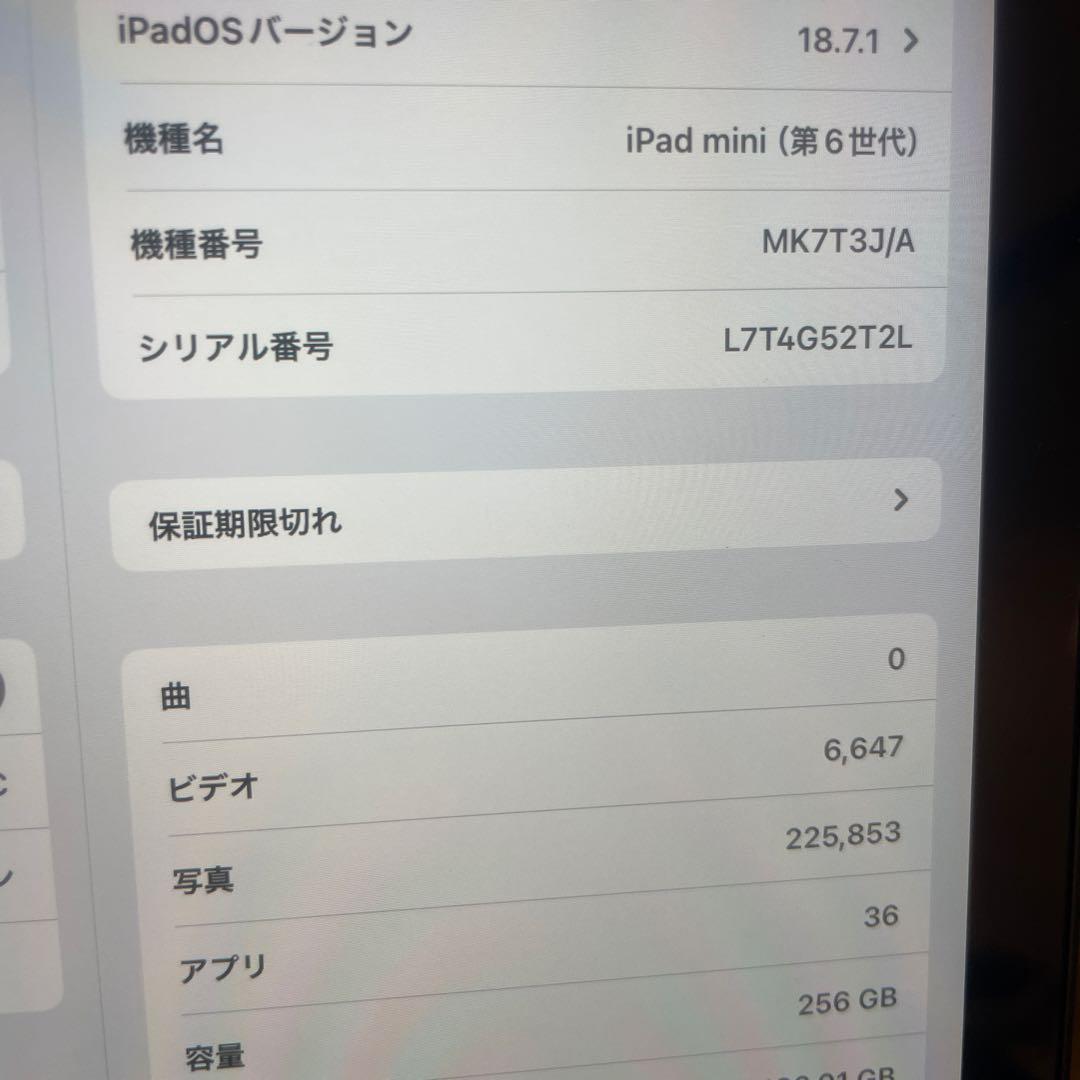 iPad mini (第6世代) 256GB Wi-Fi スペースグレイ