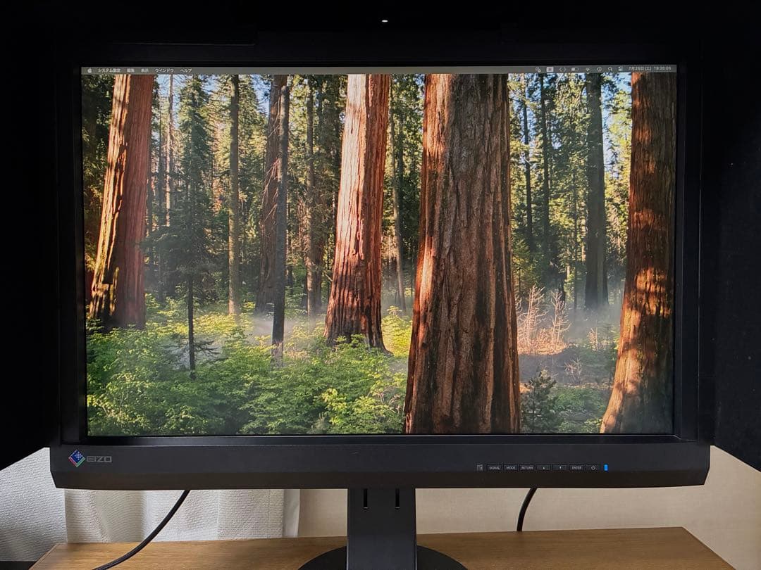 EIZO ColorEdge CX241 使用少 カラーキャリブレーションモニタ