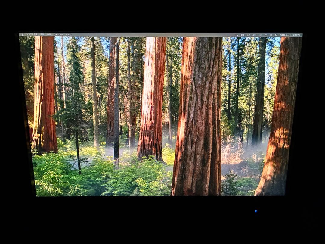 EIZO ColorEdge CX241 使用少 カラーキャリブレーションモニタ