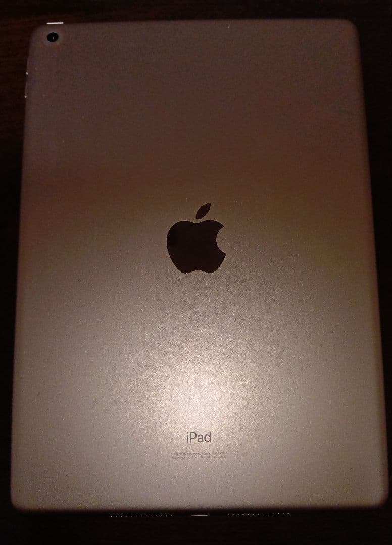 Apple iPad (第7世代) シルバー