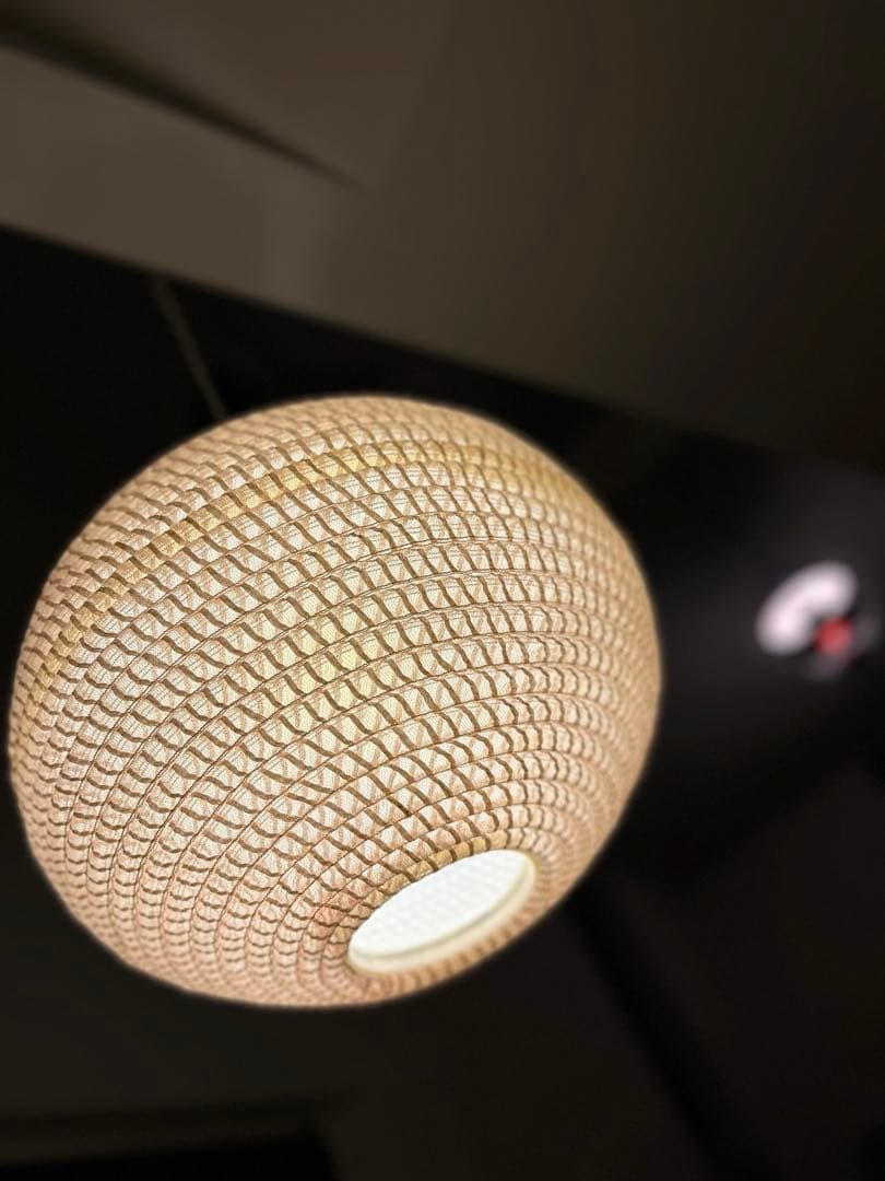 独60年代　Temde 漆塗り木材とファイバーグラス　ヴィンテージ・ペンダント