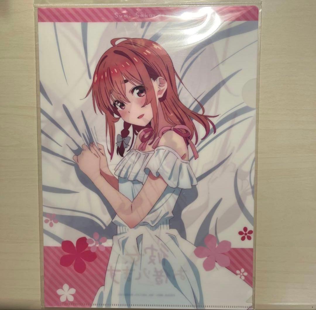 日本の保守派代表のマンガと音楽が好きな男様 リクエスト 4点 まとめ商品