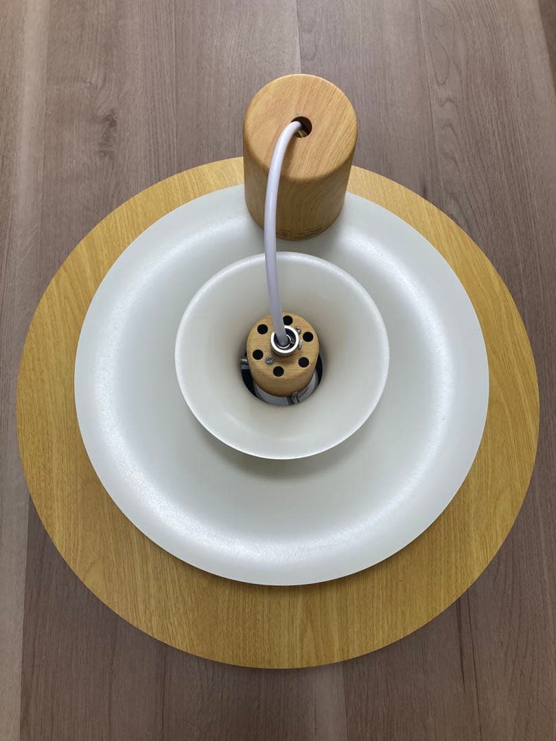 ノルデン インターフォルム ペンダントライト LT-8822