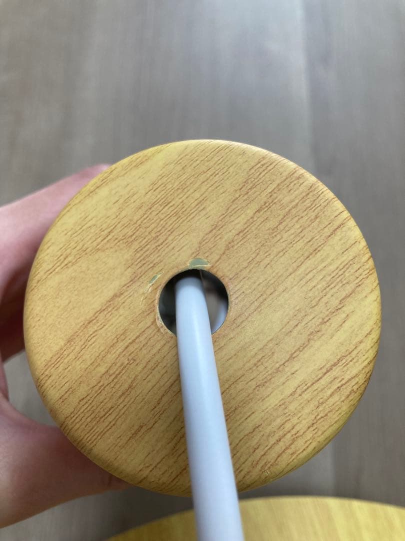 ノルデン インターフォルム ペンダントライト LT-8822