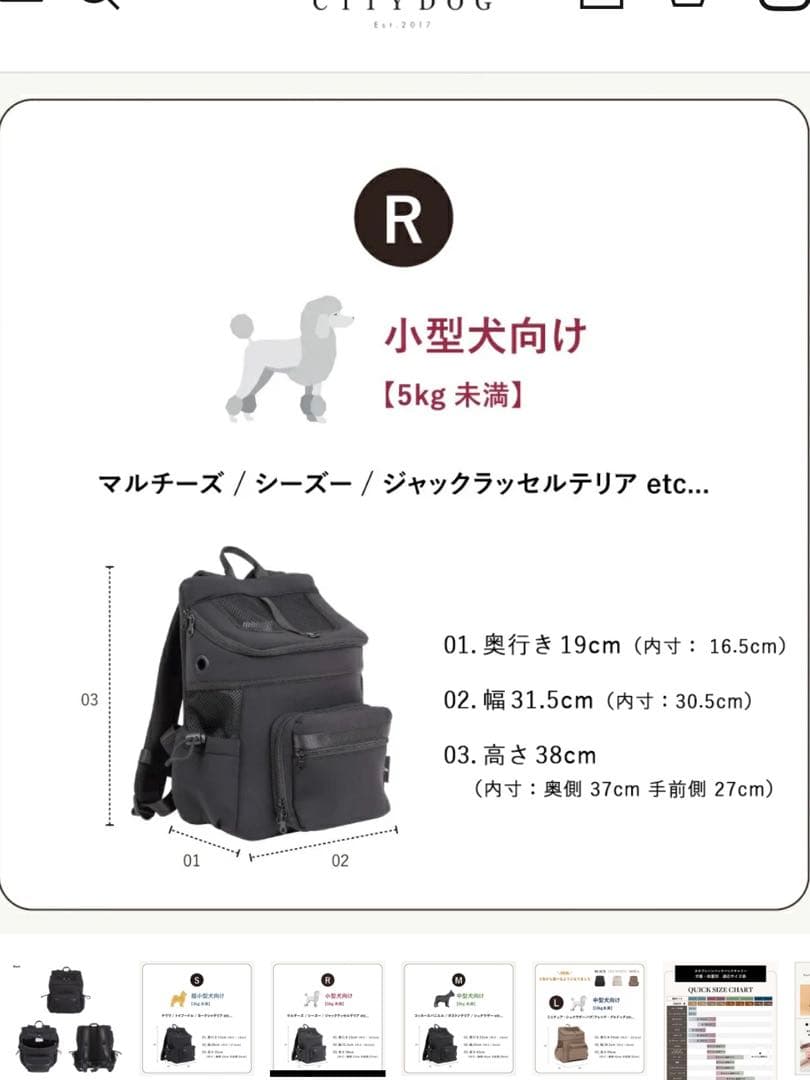 CITYDOG ネオプレーンバックパックキャリー Rサイズ