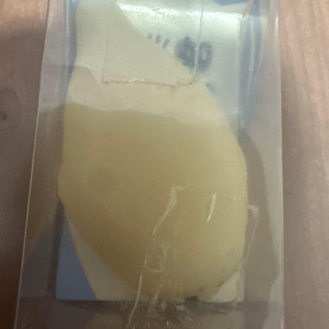 スクイーズ ふわもちあざらし君 やわらかひよっこくん