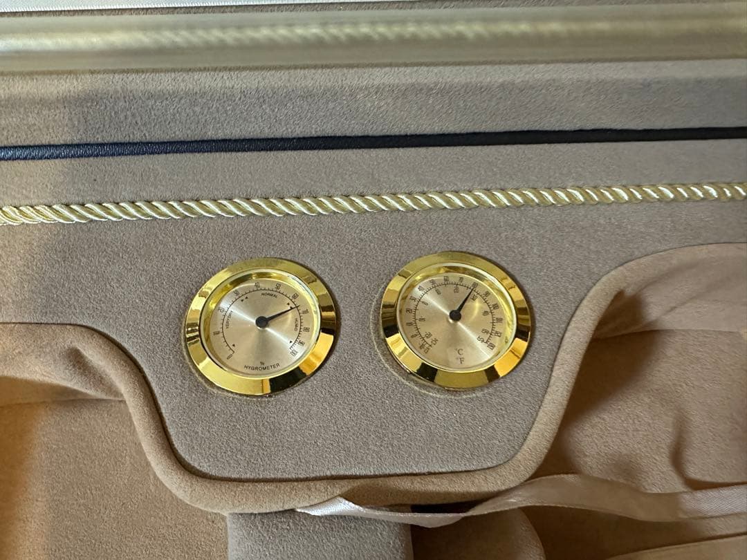 定価5万　綺麗　軽量　バイオリンケース　4/4 部活　サークル　音大　バイオリン