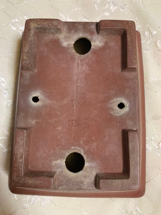 柴勝　長方　盆栽鉢