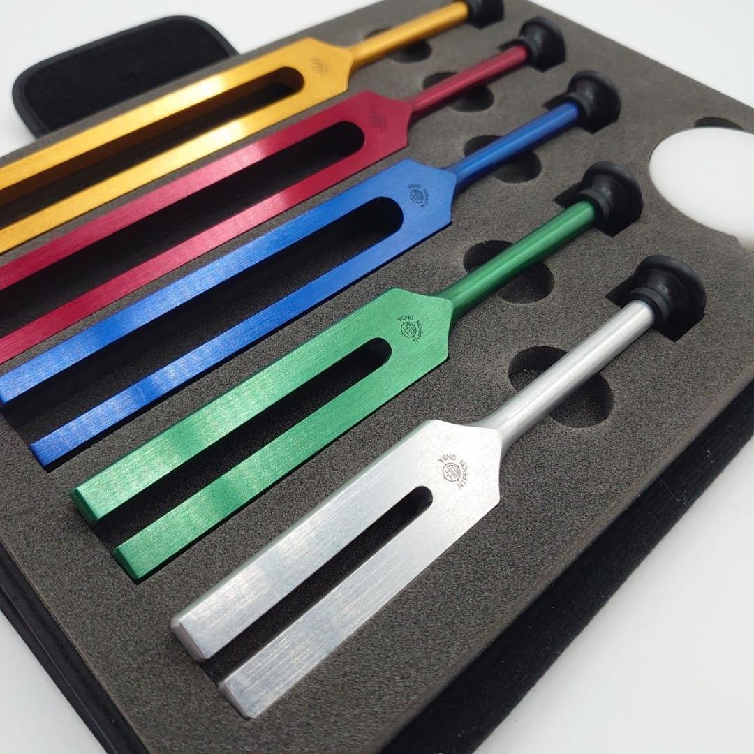 五行音叉　ブレインアップデート　ニチオン