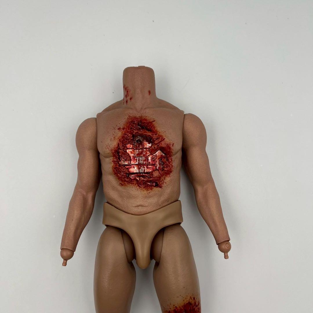 ホットトイズ　ver2.0 ターミネーター　T-800　1/6　　検　素体