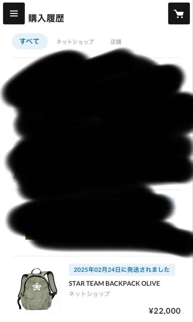 star team リュック　バックパック最安値