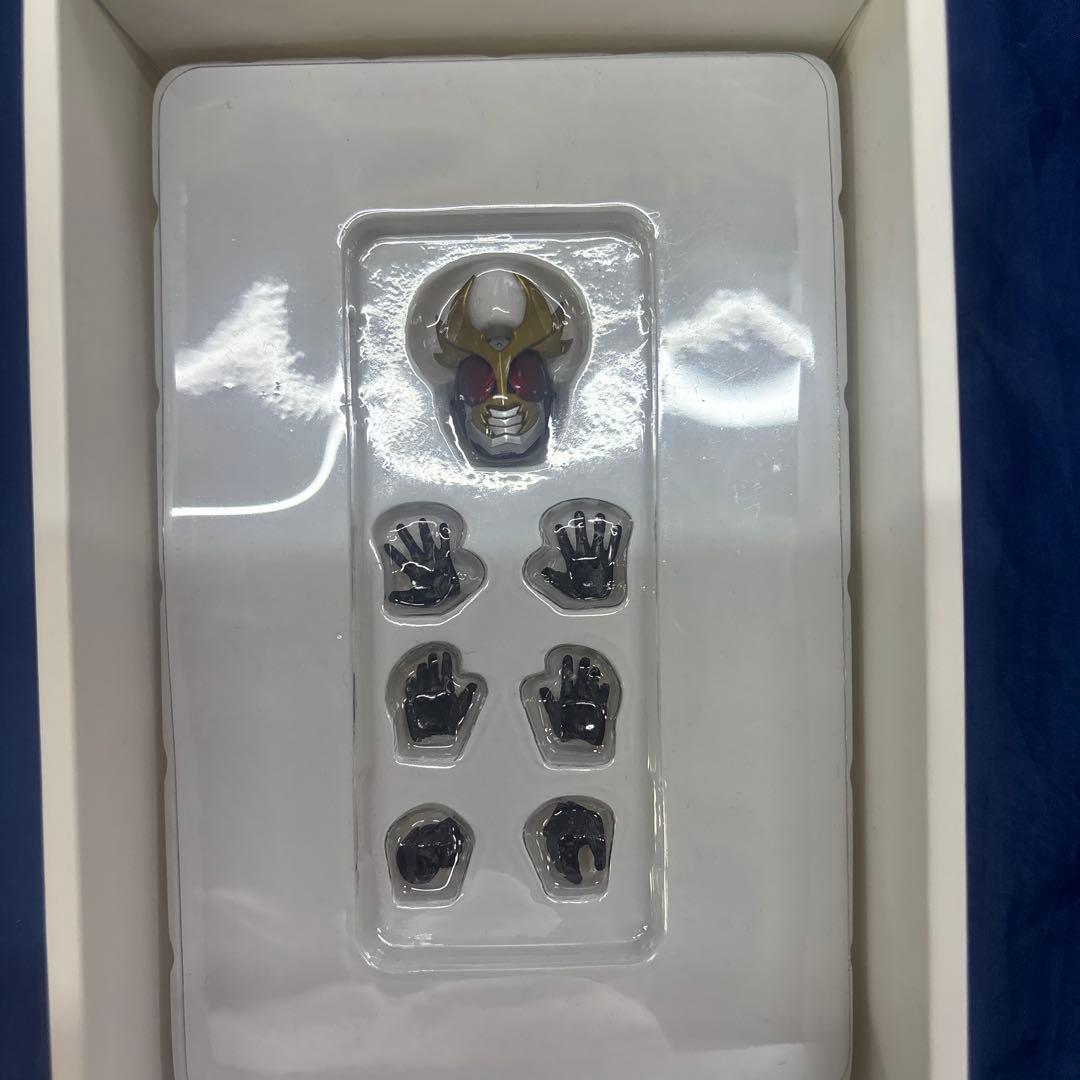 ジャンク品　真骨彫仮面ライダー